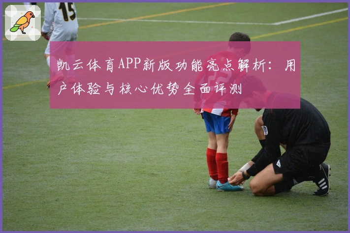 凯云体育APP新版功能亮点解析：用户体验与核心优势全面评测