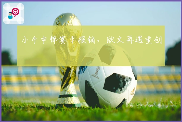 小牛中锋赛季报销，欧文再遇重创